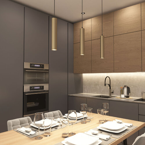 DK4050-BG Подвесной светильник, IP 20, 15 Вт, GU10, матовое золото с черным, алюминий. Фото 4