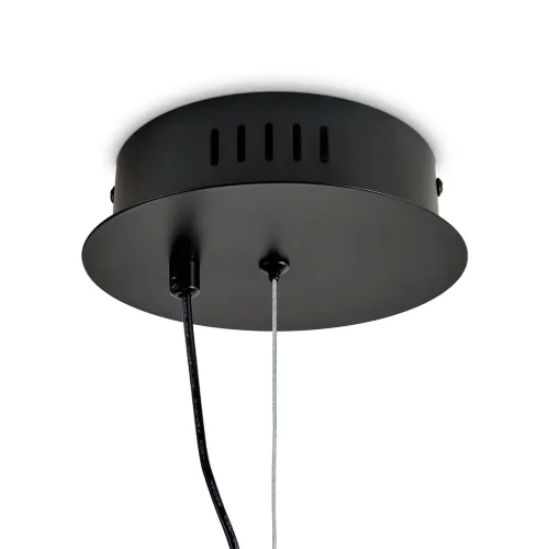 Подвесной светильник Freya FR5594PL-L15B (Черный) - фото 15