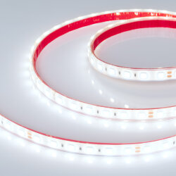 Светодиодная лента герметичная RTW-PFS-В60-13mm 24V Cool 10К (14.4 W/m, IP68, 5060, 5m) (Arlight, 14.4 Вт/м, IP68) 036443