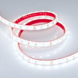 Светодиодная лента герметичная RTW-PFS-В60-13mm 24V Cool 10К (14.4 W/m, IP68, 5060, 5m) (Arlight, 14.4 Вт/м, IP68) 036443