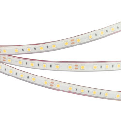 Светодиодная лента герметичная RTW-PFS-В60-13mm 24V Cool 10К (14.4 W/m, IP68, 5060, 5m) (Arlight, 14.4 Вт/м, IP68) 036443