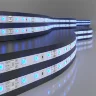 Светодиодная лента 12 В 4.8 Вт/м 60 Led/м 2835 IP65, синий, 5 м Лента светодиодная 12V 4,8W 60Led 2835 IP65 синий, 5м - фото