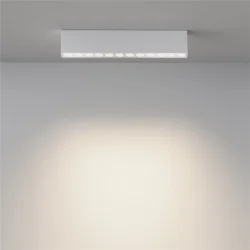 Потолочный светильник Points 3000K-6000K 20Вт 36° IP 20 (Белый)