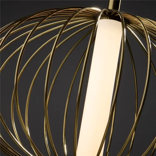 Подвесной светильник Freya FR6131PL-L10BS (Латунь) - фото 4