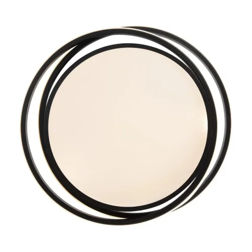 Потолочный светильник Freya FR10031CL-L98B (Черный) - фото