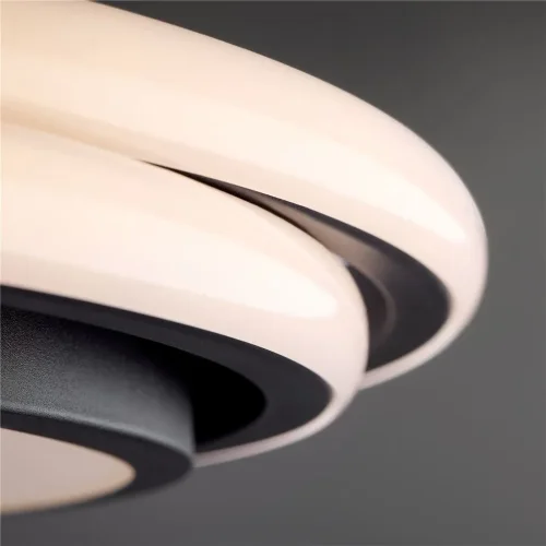 Потолочный светильник Freya FR10031CL-L98B (Черный) - фото 3