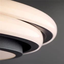 Потолочный светильник Freya FR10031CL-L98B (Черный)