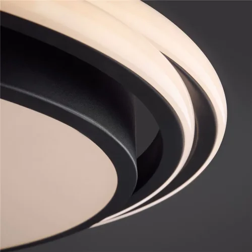 Потолочный светильник Freya FR10031CL-L98B (Черный) - фото 4