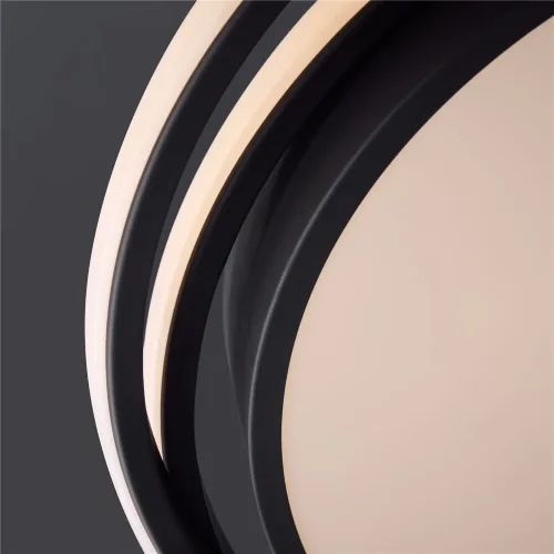 Потолочный светильник Freya FR10031CL-L98B (Черный) - фото 5