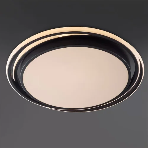 Потолочный светильник Freya FR10031CL-L98B (Черный) - фото 6