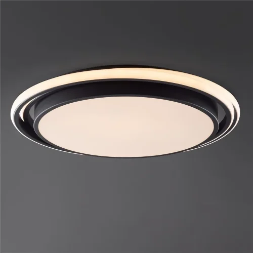 Потолочный светильник Freya FR10031CL-L98B (Черный) - фото 7