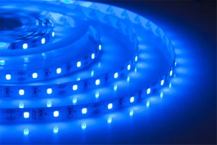 Лента светодиодная герметичная ELF GERMES, 300SMD (2835), 12В, IP65, 5м, синяя - фото