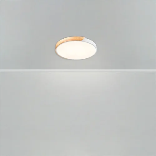 Потолочный светильник FR6129CL-L80W Сприда / Sprida 80 Вт LED с пультом ДУ (Белый) FR6129CL-L80W - фото 4