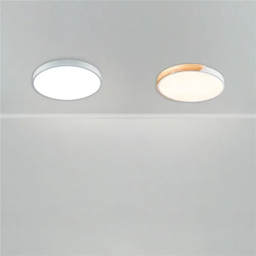 Потолочный светильник FR6129CL-L80W Сприда / Sprida 80 Вт LED с пультом ДУ (Белый) FR6129CL-L80W - фото 5