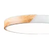 Потолочный светильник FR6129CL-L80W Сприда / Sprida 80 Вт LED с пультом ДУ (Белый) FR6129CL-L80W - фото 9