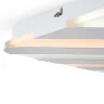 Потолочный светильник FR6037CL-L84W Амелия / Amelia 74 Вт LED с пультом ДУ (Белый) FR6037CL-L84W - фото 8