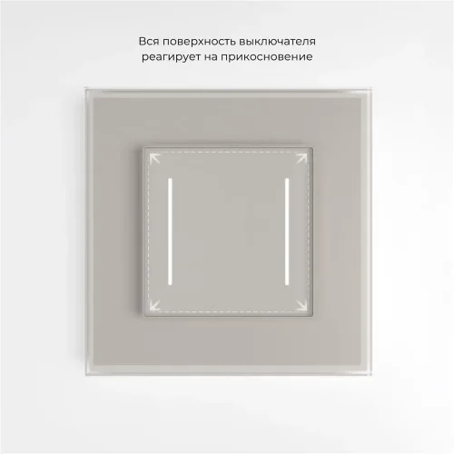 Сенсорный выключатель двухклавишный с подсветкой (дымчатый) W4522014 - фото 4