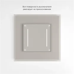 Сенсорный выключатель двухклавишный с подсветкой (дымчатый) W4522014