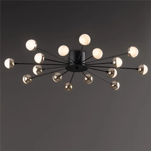 Потолочный светильник Freya FR5242CL-16B (Черный) - фото 5