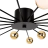 Потолочный светильник Freya FR5242CL-16B (Черный) - фото 7