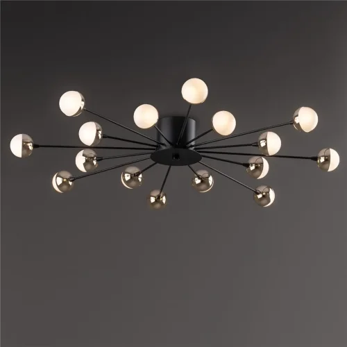 Потолочный светильник Знаменитость / Celebrity (Черный) FR5242CL-16B - фото 5