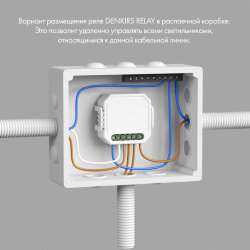 Denkirs Relay | РИЛЭЙ , Denkirs RL1004-DM/1