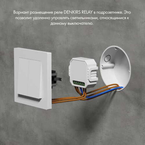 Denkirs Relay | РИЛЭЙ RL1004-DM/1. Фото 4