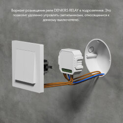Denkirs Relay | РИЛЭЙ , Denkirs RL1004-DM/1