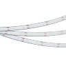 Светодиодная лента герметичная CSP-PFS-X480-10mm 24V Day4000 (14.4 W/m, IP68, TWP100, 5m) (Arlight) - фото 2