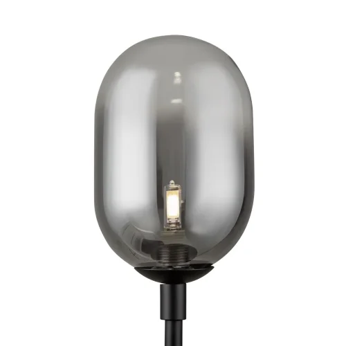 Настольный светильник Freya FR1011TL-01B (Черный) - фото 3