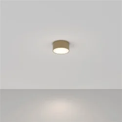 Потолочный светильник Zon 4000K 1x12Вт 120° (Матовое Золото)