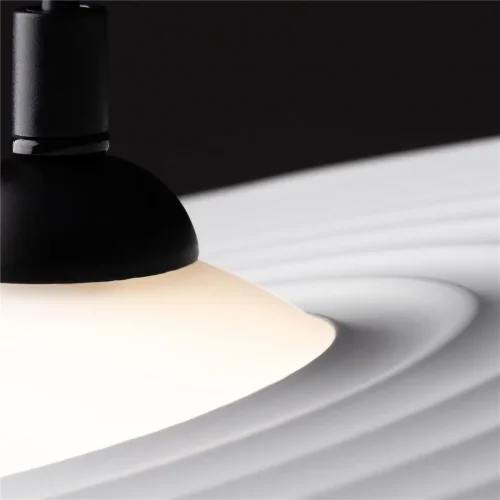 Подвесной светильник Freya FR5390PL-01W (Черный) - фото 9