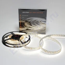 Светодиодная лента Class Premium, 3528, 240 led/m, Day White, 24V, IP33, А8, однорядная