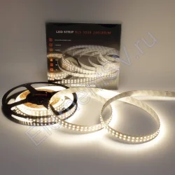 Светодиодная лента Class Premium, 3528, 240 led/m, Day White, 24V, IP33, А8, однорядная
