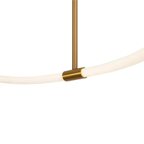Подвесной светильник FR6059PL-L88BS Нарядный / Fancy 66 Вт LED (Латунь) FR6059PL-L88BS - фото 9