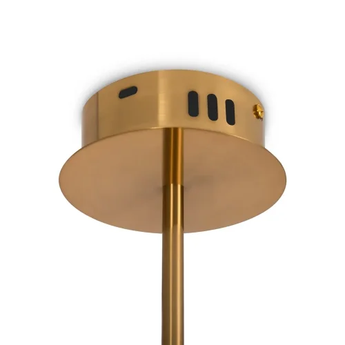 Подвесной светильник FR6059PL-L88BS Нарядный / Fancy 66 Вт LED (Латунь) FR6059PL-L88BS - фото 11