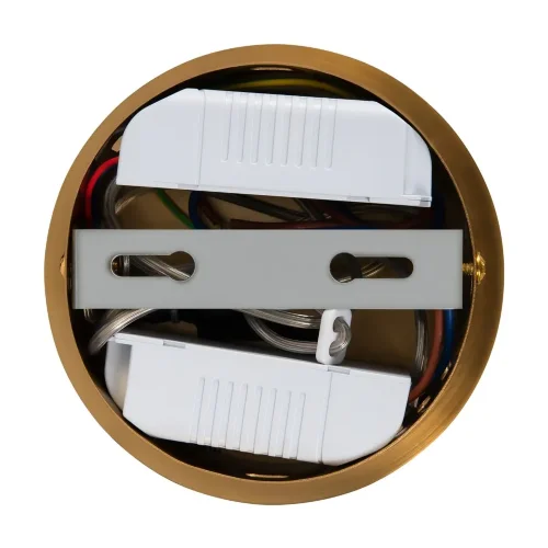 Подвесной светильник FR6059PL-L88BS Нарядный / Fancy 66 Вт LED (Латунь) FR6059PL-L88BS - фото 12