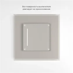 Сенсорный выключатель одноклавишный с подсветкой (дымчатый) W4512014