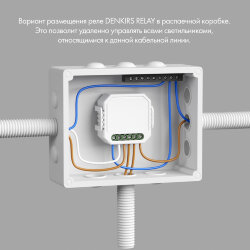 Одноканальное Wi-Fi реле-диммер 1 x 150 Вт, Denkirs RL1003-DM/1