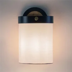 Настенный светильник (бра) Freya FR5377WL-01B (Черный)