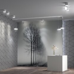 Светильник накладной светодиодный «Novotech» 358749, серия: PROMETA