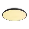 умный Потолочный светильник FR6211CL-L24B Обель / Obelle 24 Вт LED (Черный) FR6211CL-L24B - фото