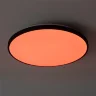 умный Потолочный светильник FR6211CL-L24B Обель / Obelle 24 Вт LED (Черный) FR6211CL-L24B - фото 2