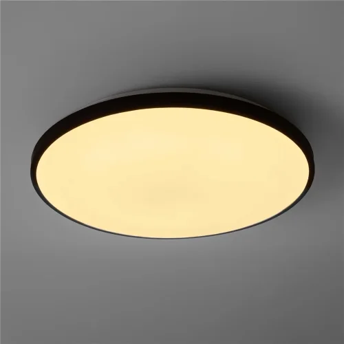 умный Потолочный светильник FR6211CL-L24B Обель / Obelle 24 Вт LED (Черный) FR6211CL-L24B - фото 6