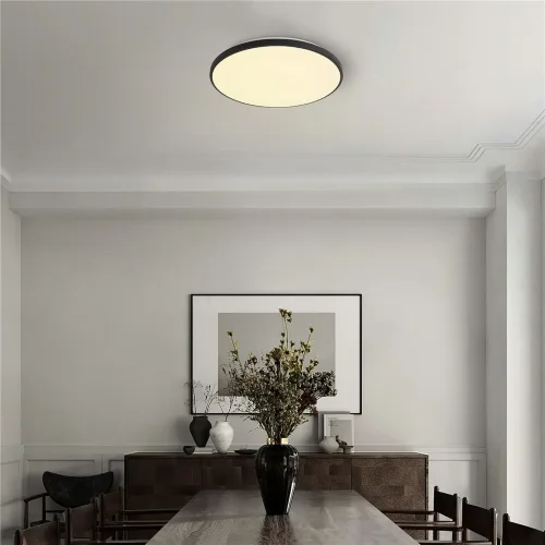 умный Потолочный светильник FR6211CL-L24B Обель / Obelle 24 Вт LED (Черный) FR6211CL-L24B - фото 9