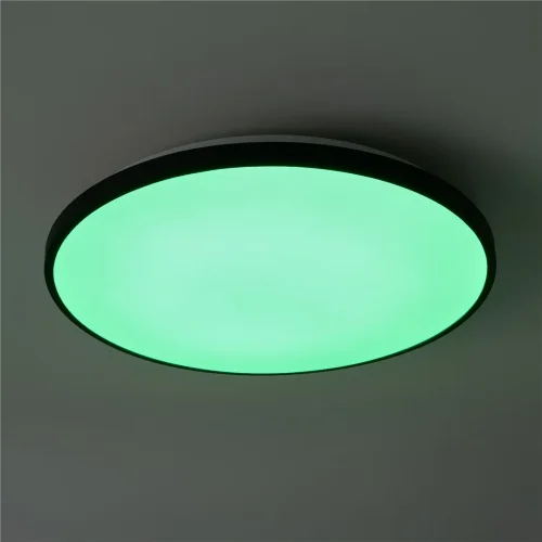 умный Потолочный светильник FR6211CL-L24B Обель / Obelle 24 Вт LED (Черный) FR6211CL-L24B - фото 10