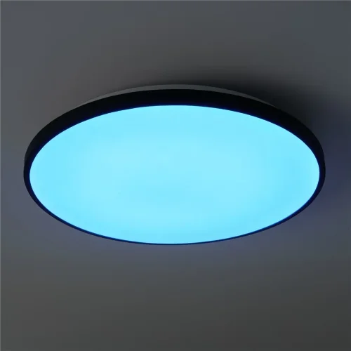 умный Потолочный светильник FR6211CL-L24B Обель / Obelle 24 Вт LED (Черный) FR6211CL-L24B - фото 12