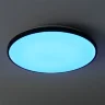 умный Потолочный светильник FR6211CL-L24B Обель / Obelle 24 Вт LED (Черный) FR6211CL-L24B - фото 12