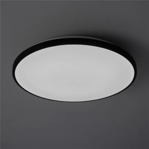 умный Потолочный светильник FR6211CL-L24B Обель / Obelle 24 Вт LED (Черный) FR6211CL-L24B - фото 13