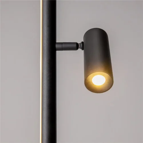 Напольный светильник (торшер) Thin 3000К 14Вт (Черный) - фото 10